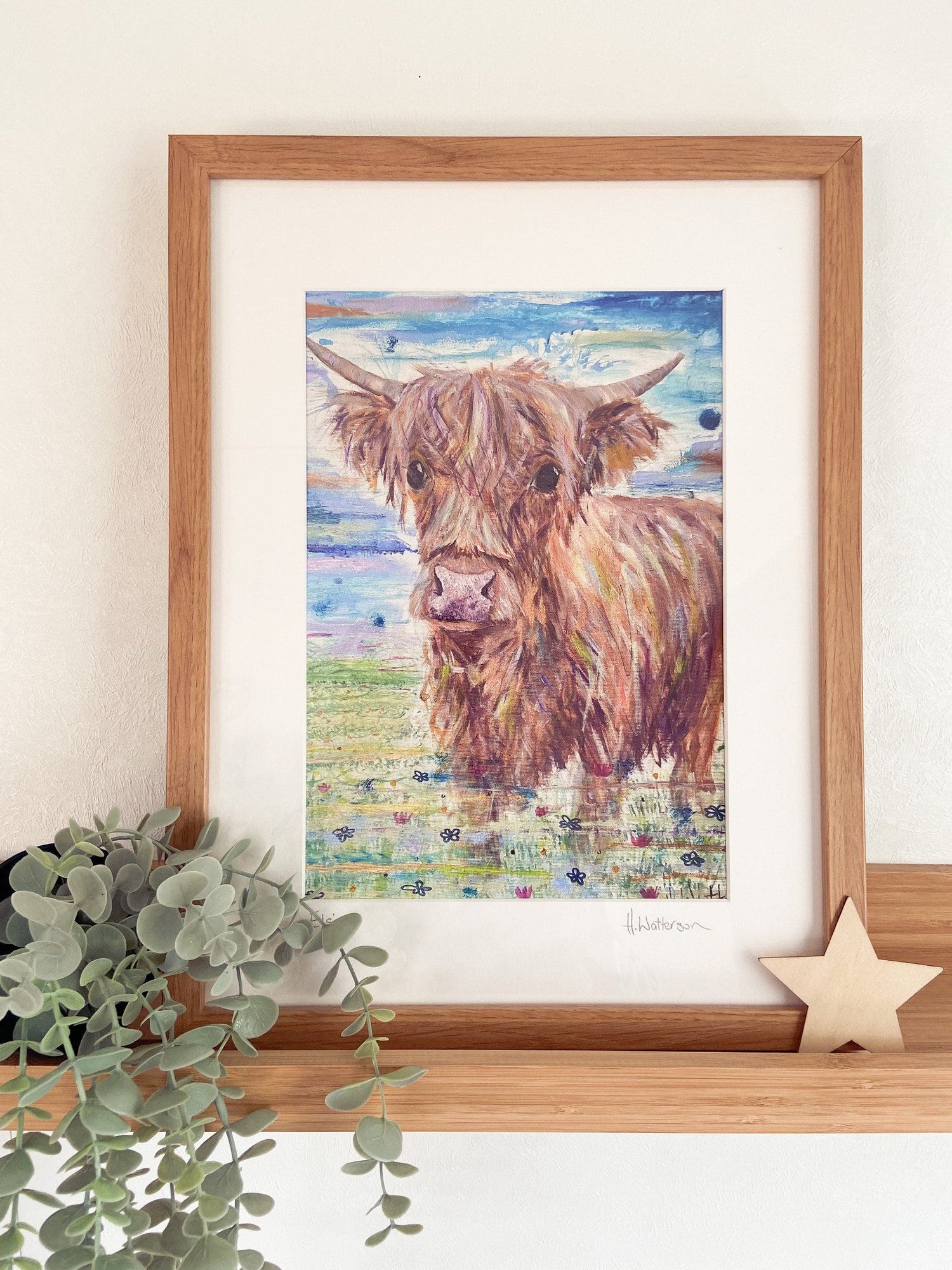 Highland Cows
