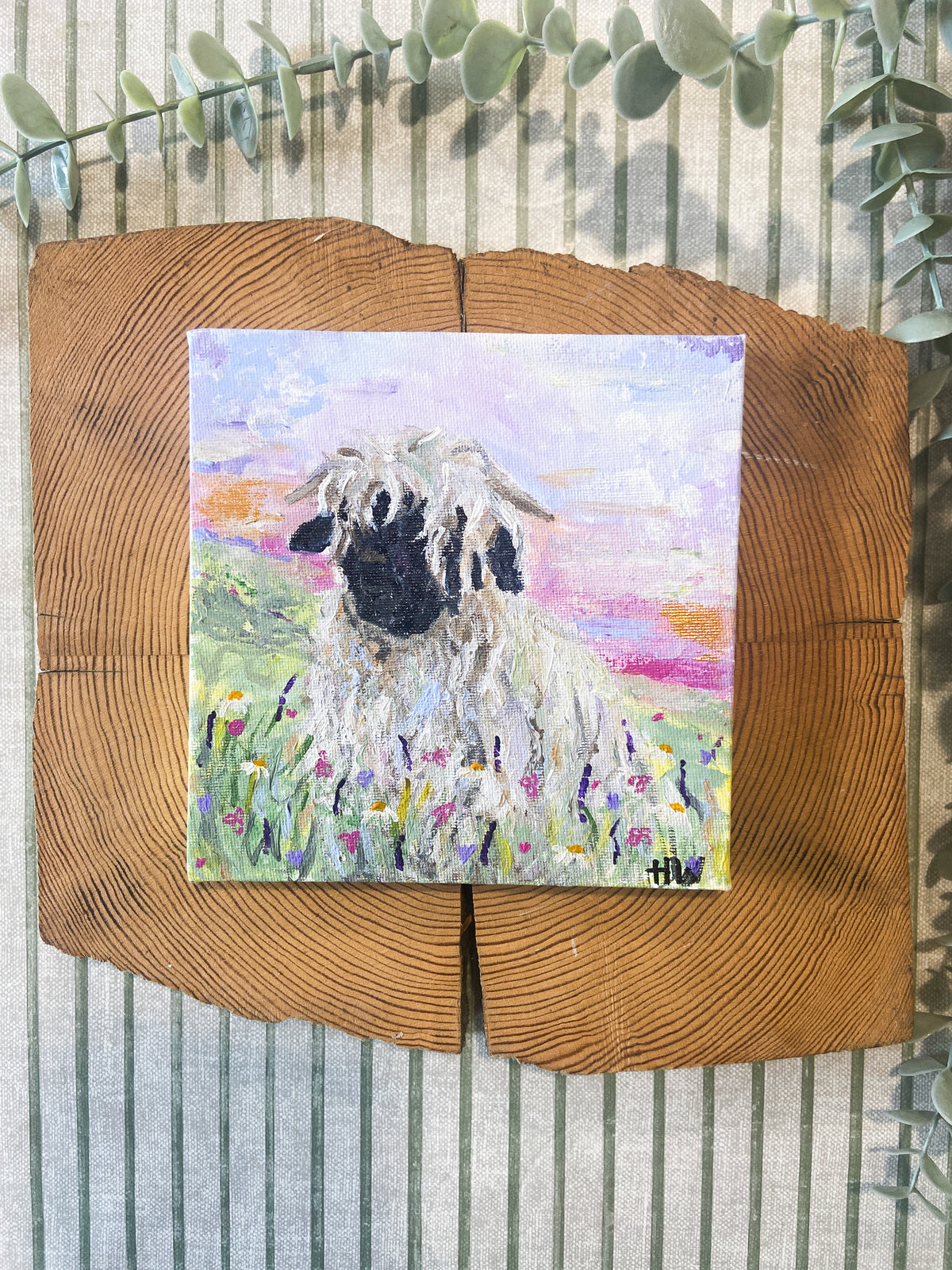 Shirley the Valais Blacknose Sheep