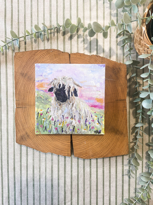 Shirley the Valais Blacknose Sheep&nbsp;